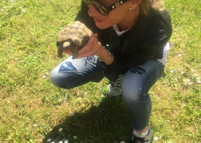 La Pallanzotta 3* Verbania